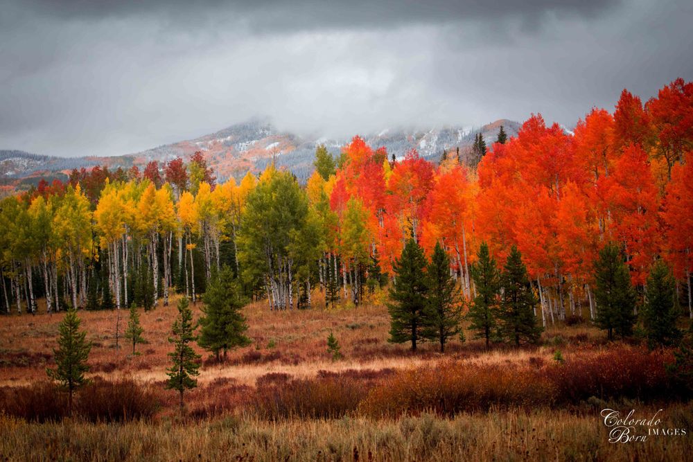Steamboat Springs Colorado