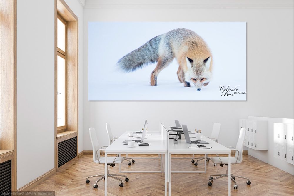 Wall Art for Conference Room