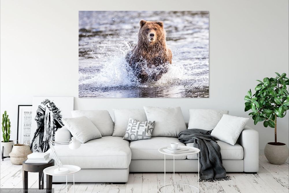 New Home Decor Ideas
