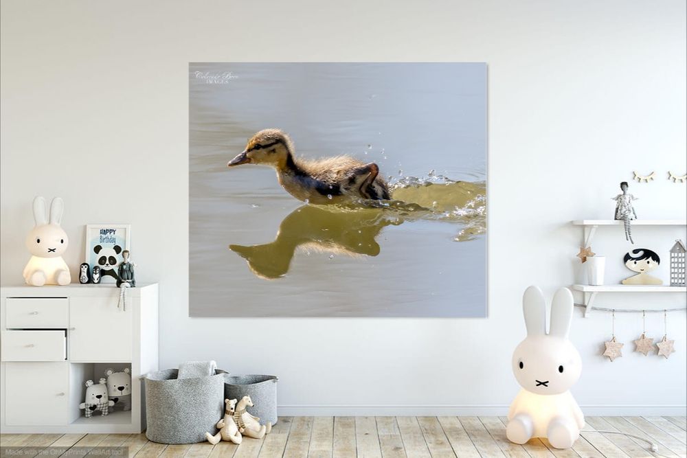Nursery or Kids Room Art Ideas