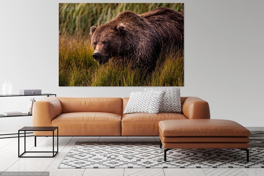 Living Room Wall Art