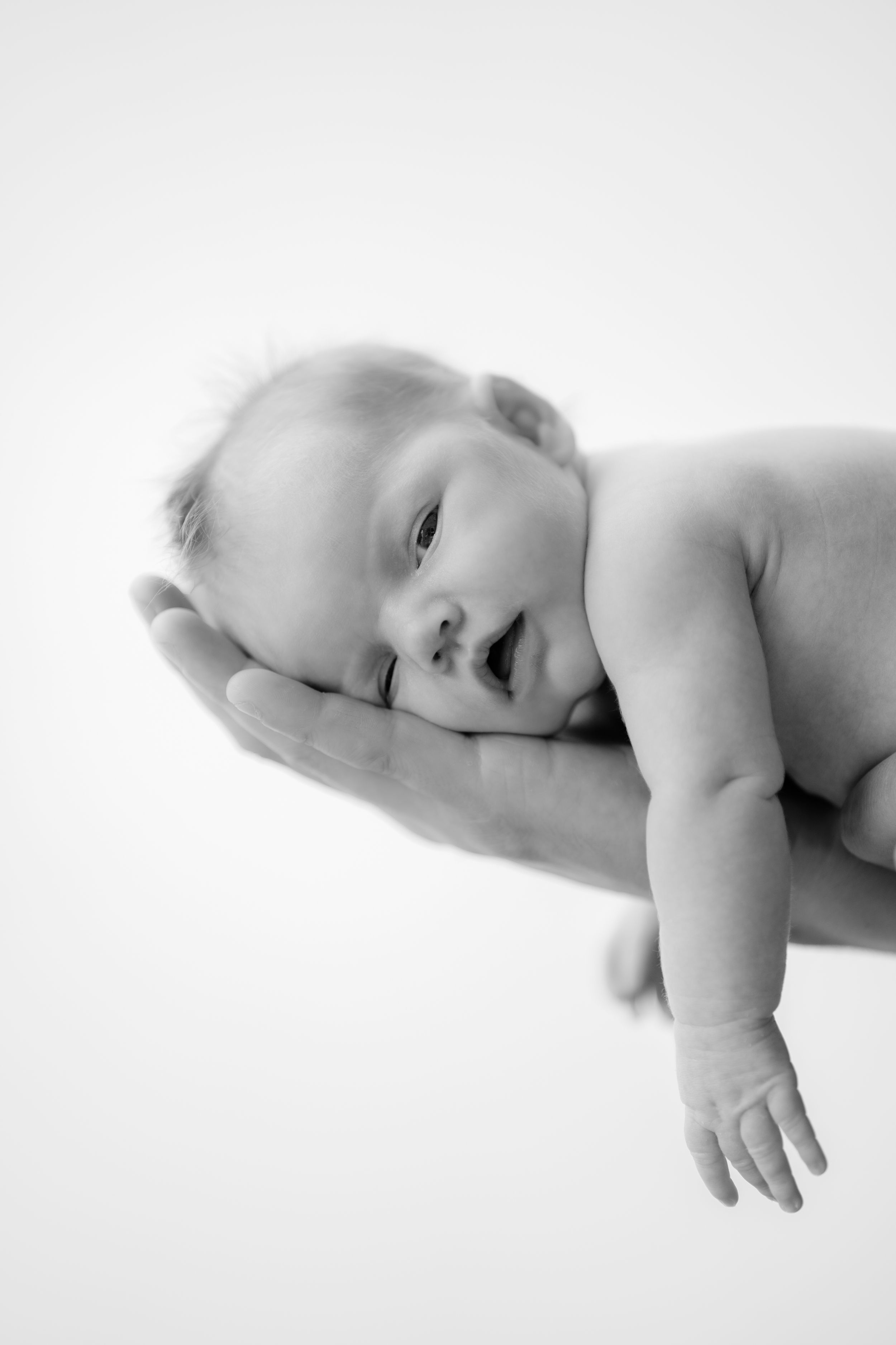 Black and white image of newborn resting peacefully in cupped hands.