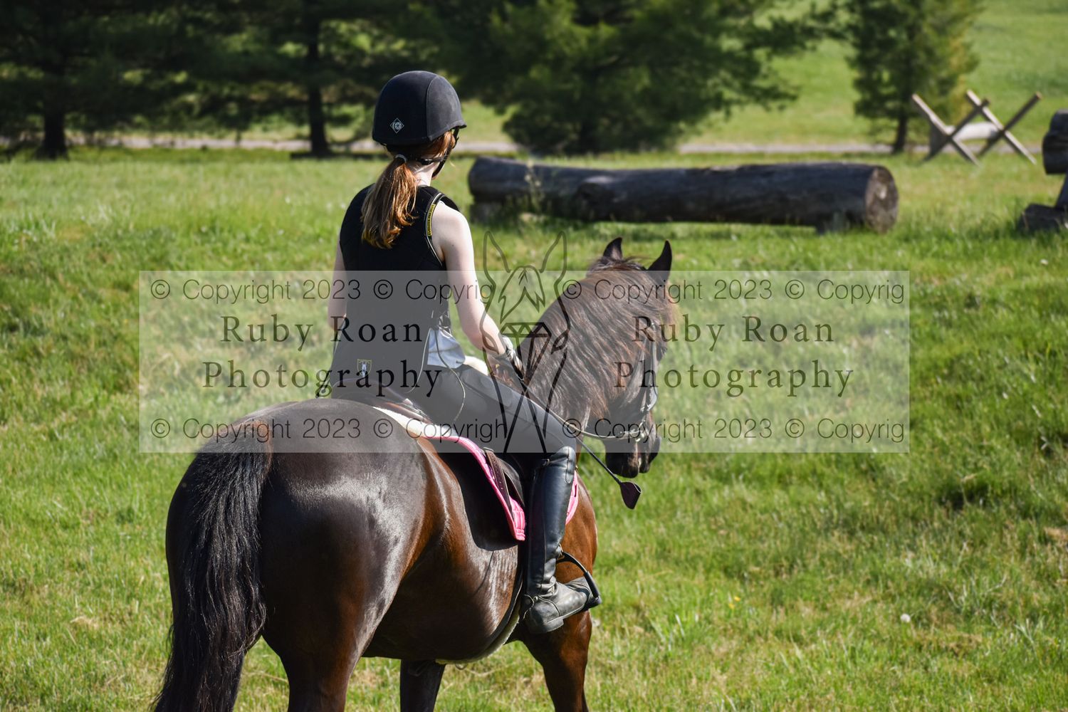 Girl on black horse walking away from camera