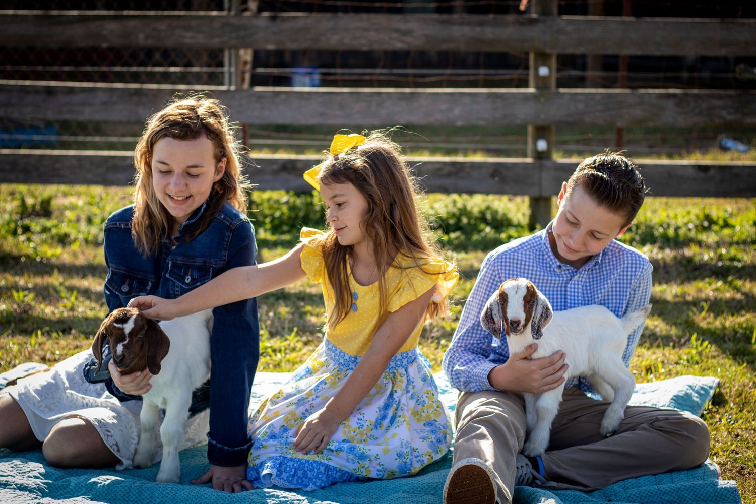 children sitting on a farm with two baby goats