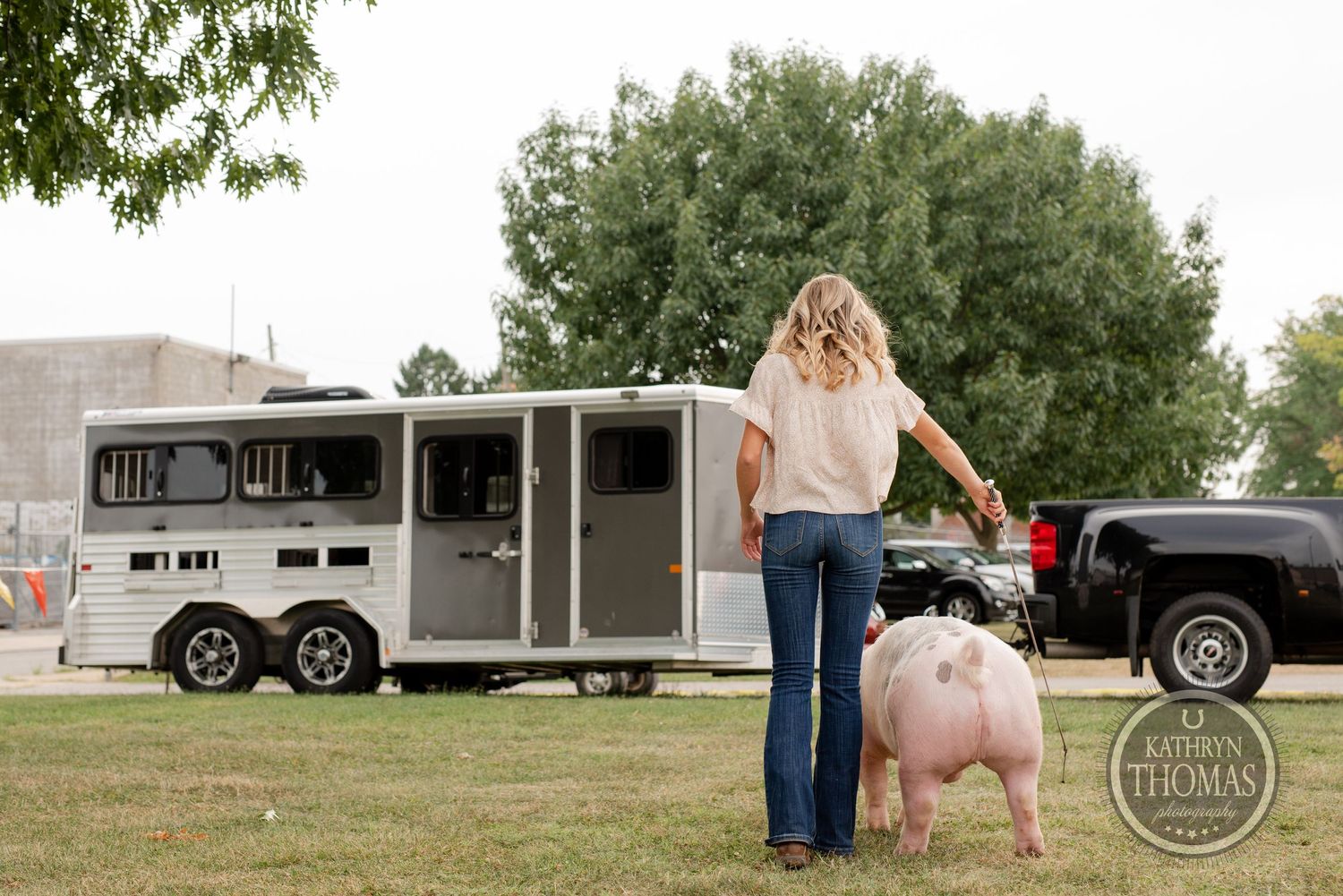A pink pig stands in a grassy area with a silver horse trailer and pickup truck in the background.