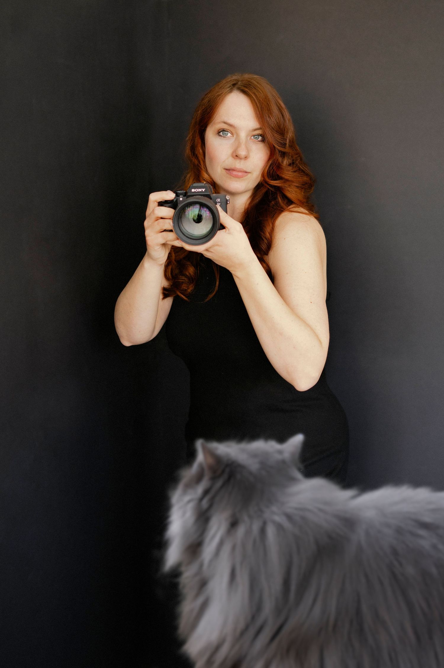 Fotograaf Anniek Mol in Eindhoven met een poes tijdens een huisdier fotoshoot