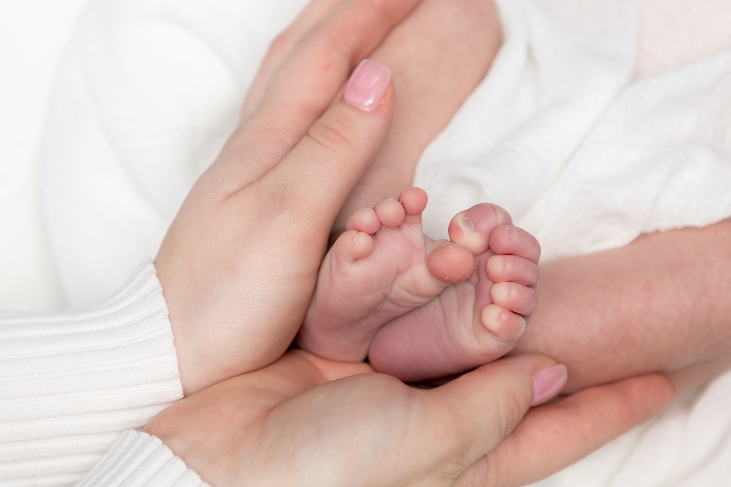Baby newborn portrait photographer, event photographer