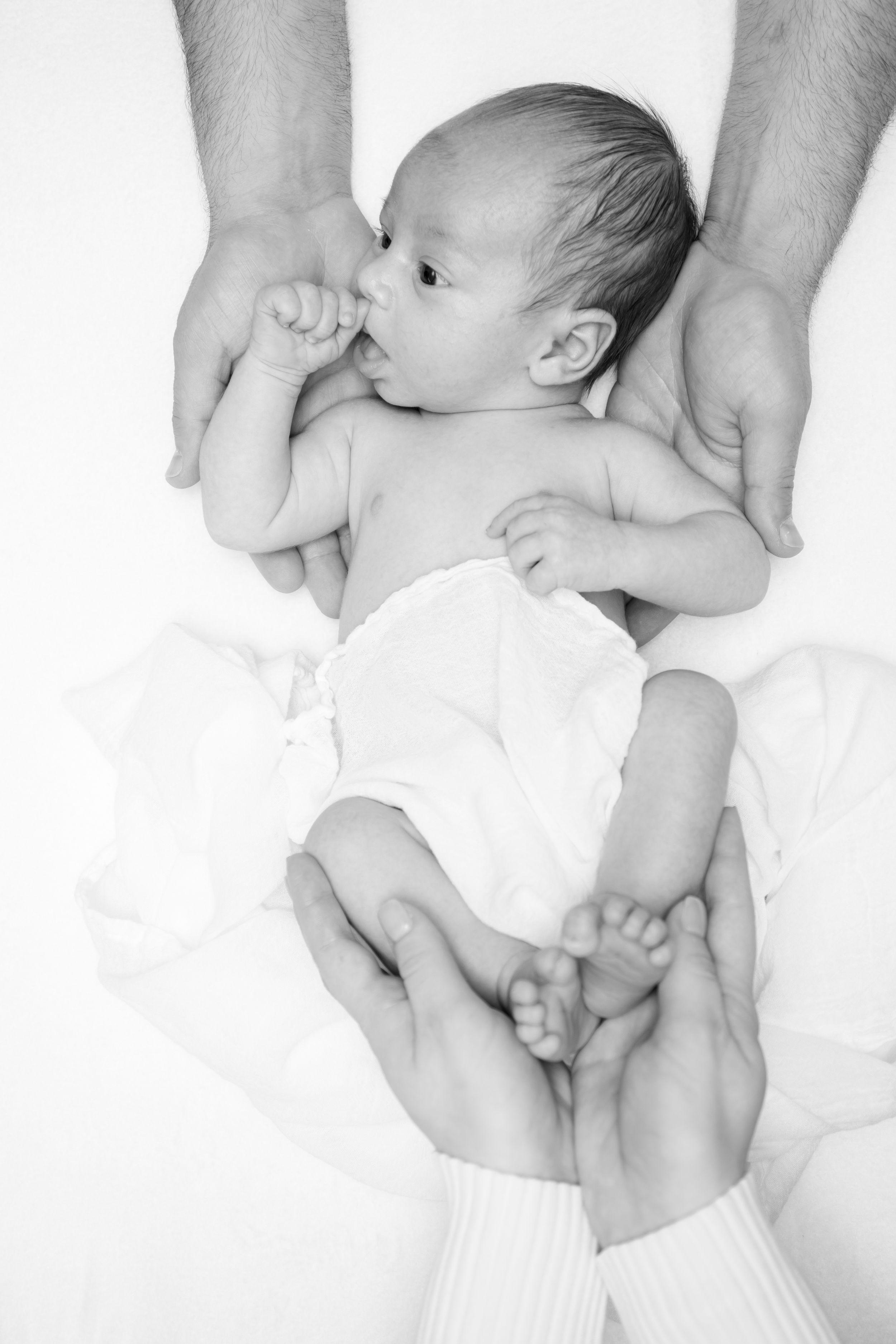 Baby newborn portrait photographer, event photographer