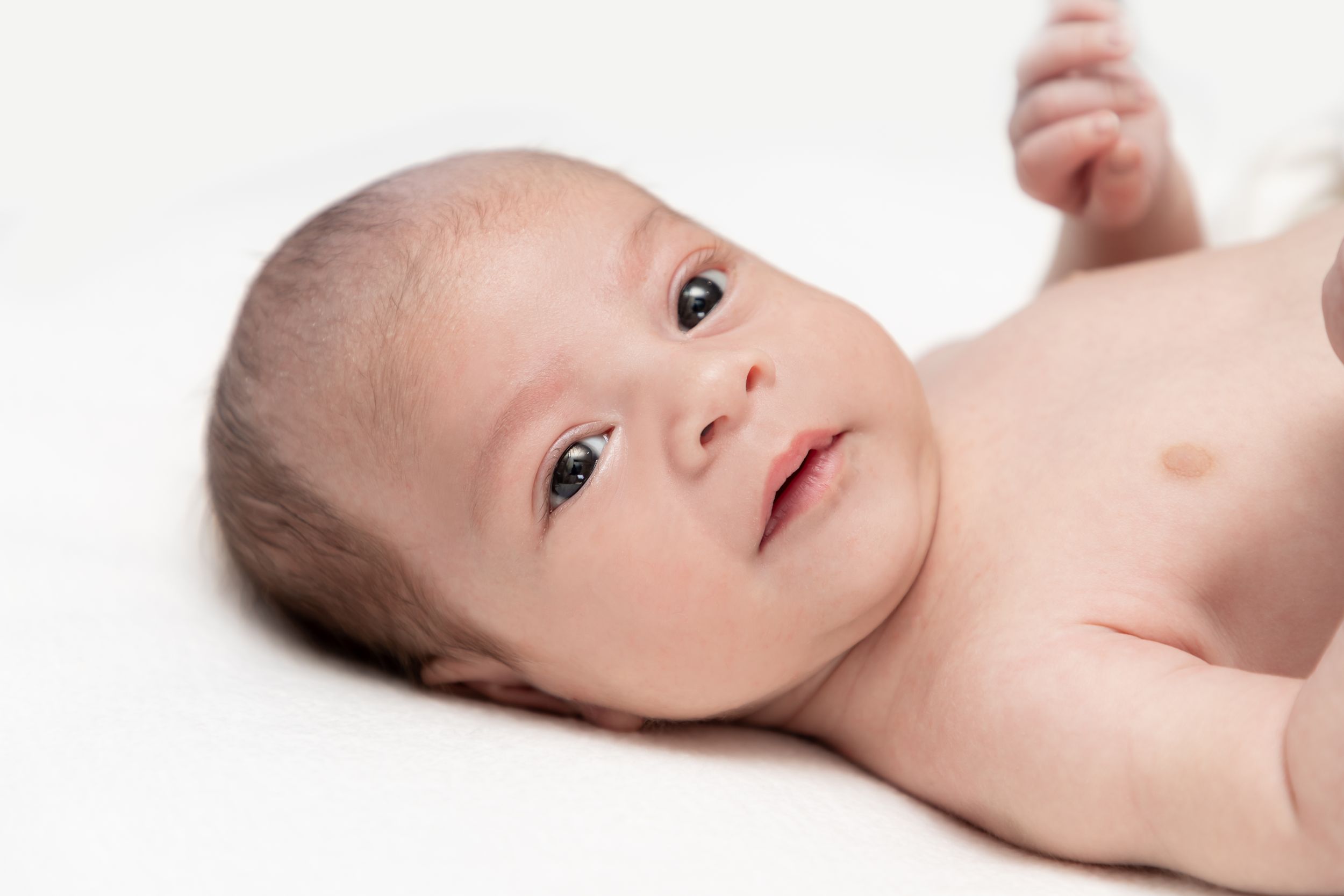Baby newborn portrait photographer, event photographer in sydney
