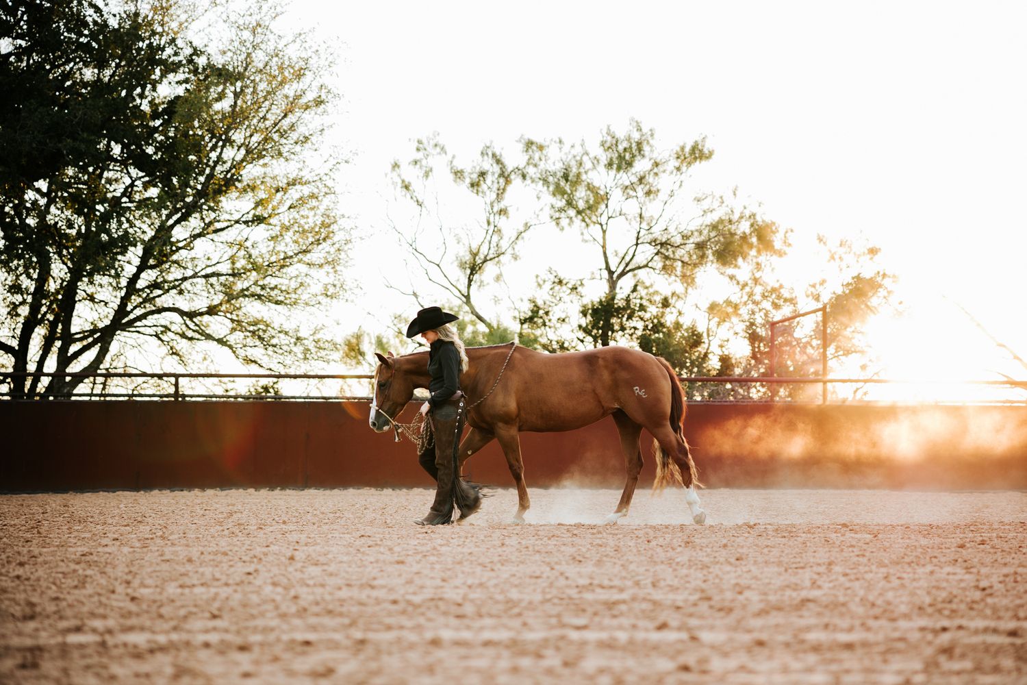 high school senior girl in black pants shirt and cowboy hat walking her brown horse in an arena with dust cloud