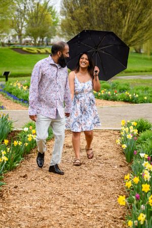 A couple walking through a garden path lined with blooming yellow daffodils while holding a black umbrella.