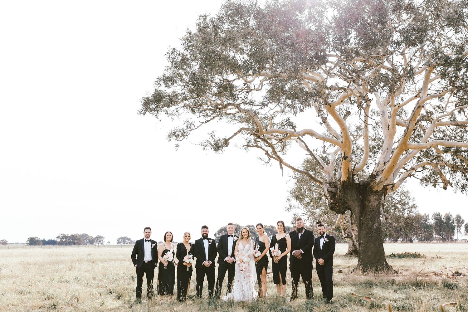 Wedding party lined up under majestic tree in open field setting.