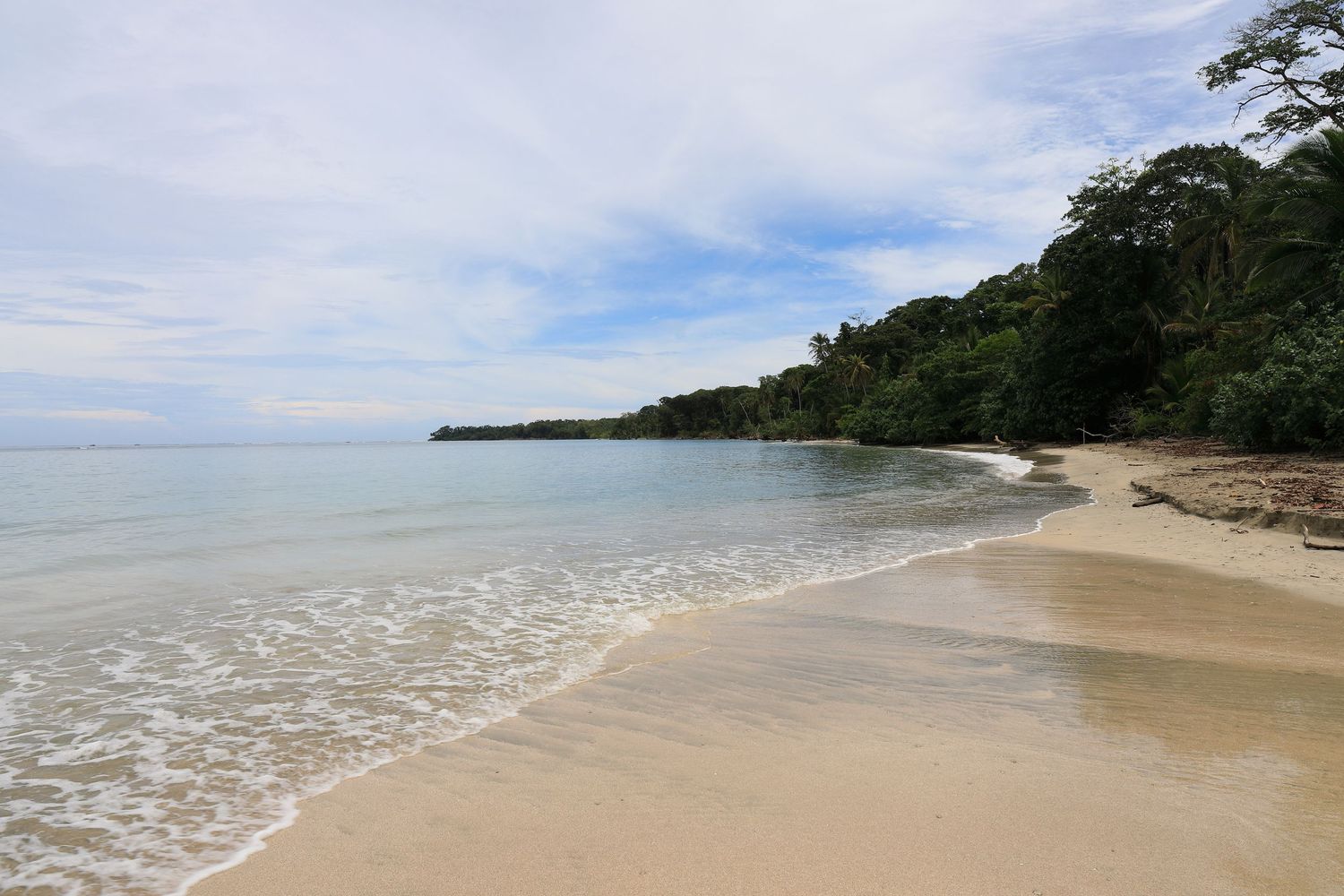 Pristine crescent beach with gentle waves and dense tropical forest along the shoreline.