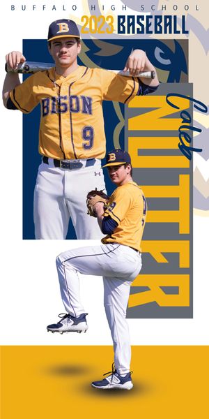 Senior Banner I was commissioned to design by the Buffalo High School baseball team.