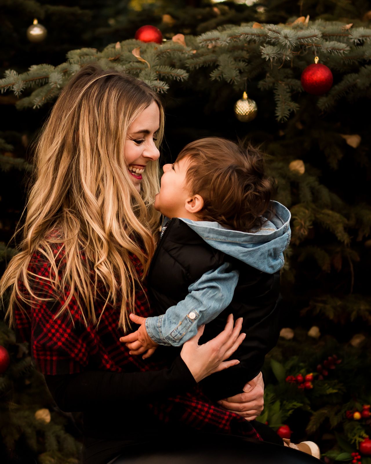 Love & Sunshine Photography: Family photos & Christmas Mini sessions in Calgary AB