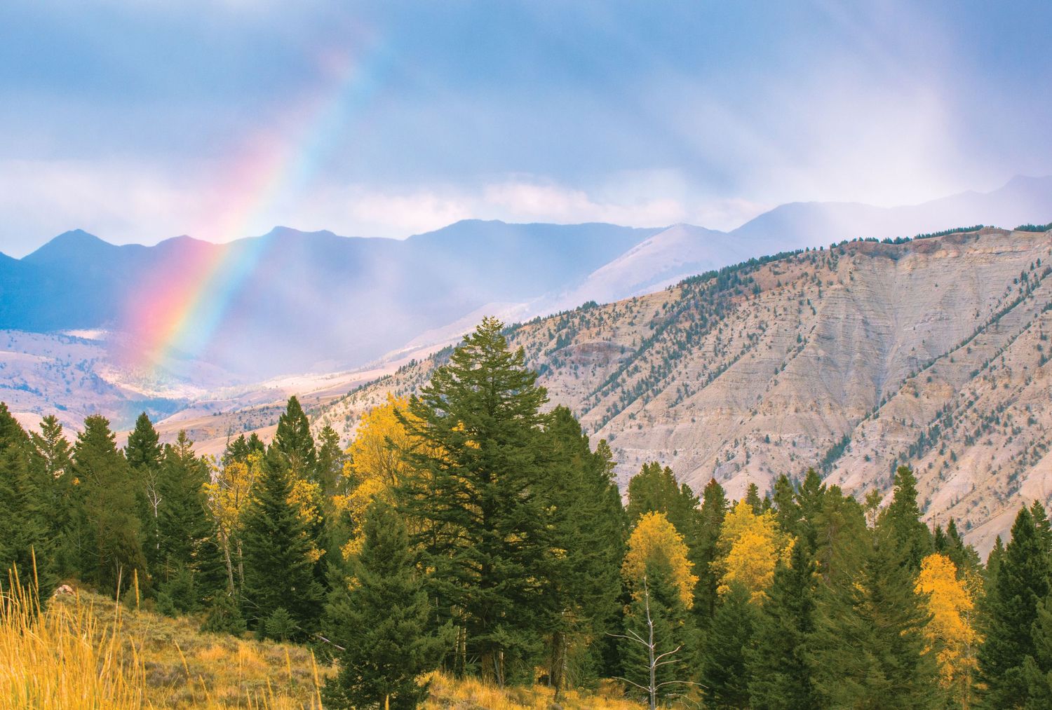 Landscape Rainbow Mountain Photography in Yellowstone National Park by Alicia White