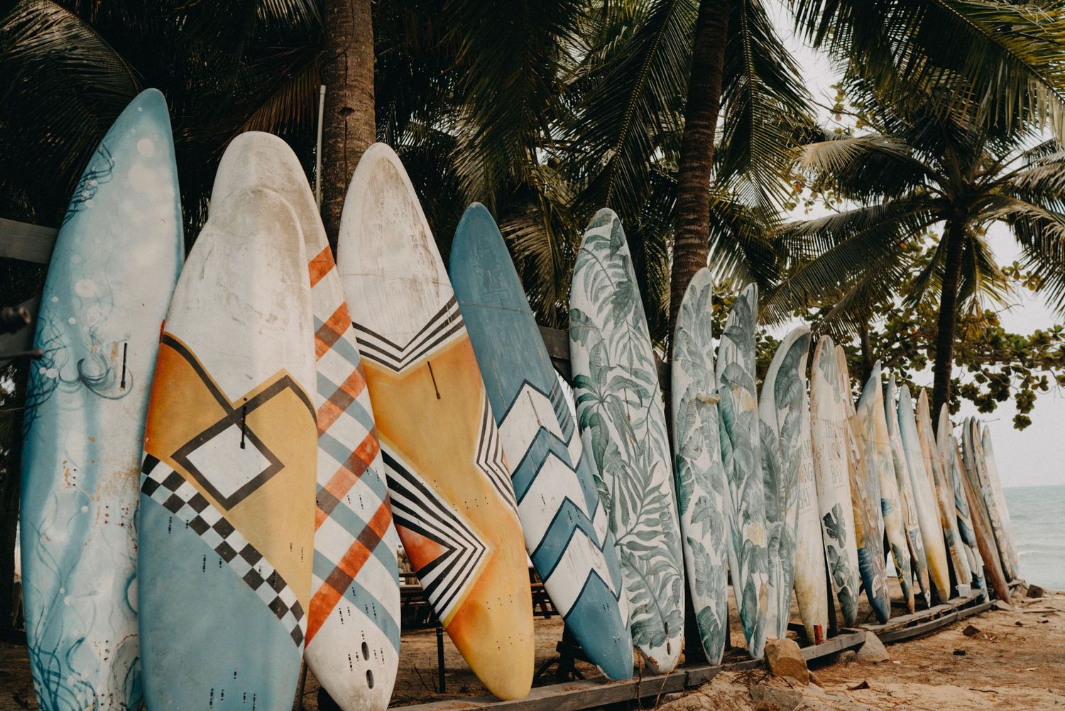 Colorful surfboards leaning against palm trees on a tropical beach.