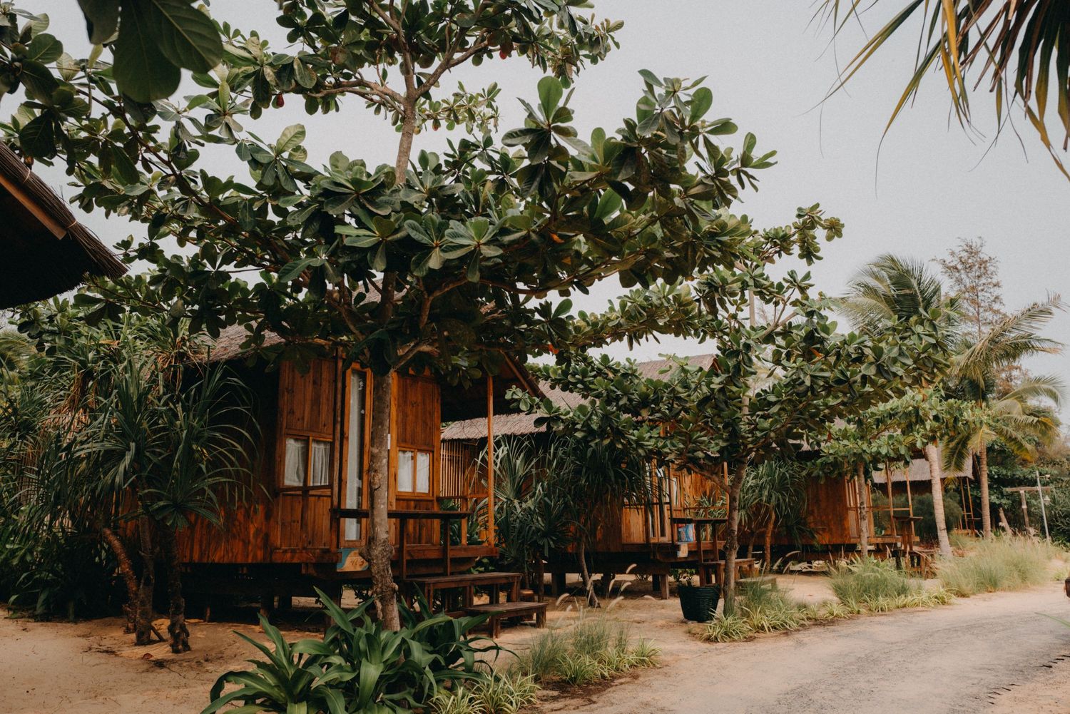Charming wooden tropical bungalow surrounded by lush green trees and plants.