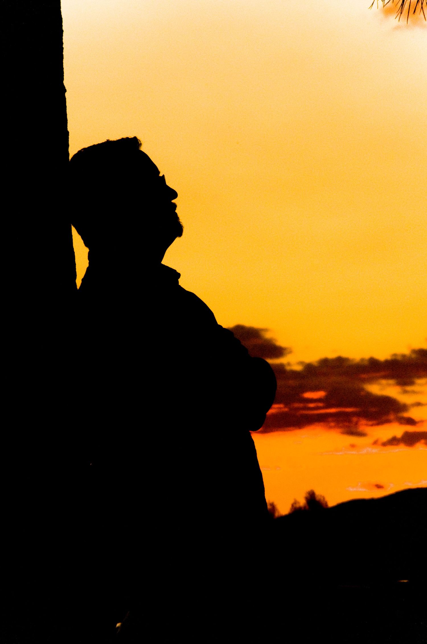 Man leaning against tree shadowed in the sunset