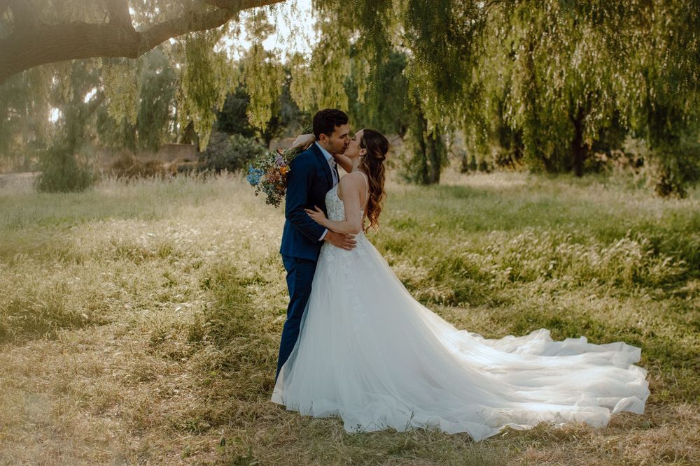 A romantic outdoor wedding scene in a sunlit meadow with a flowing white dress and weeping willow trees in the background.