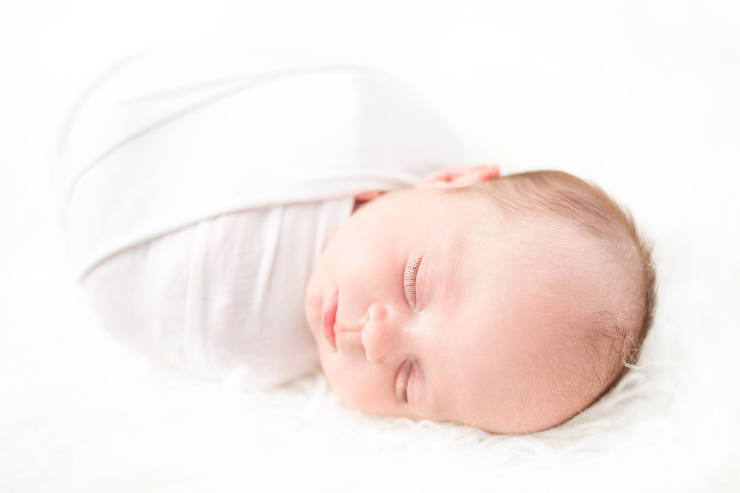 Stillwater Minneapolis Minnesota Family Newborn Photographer