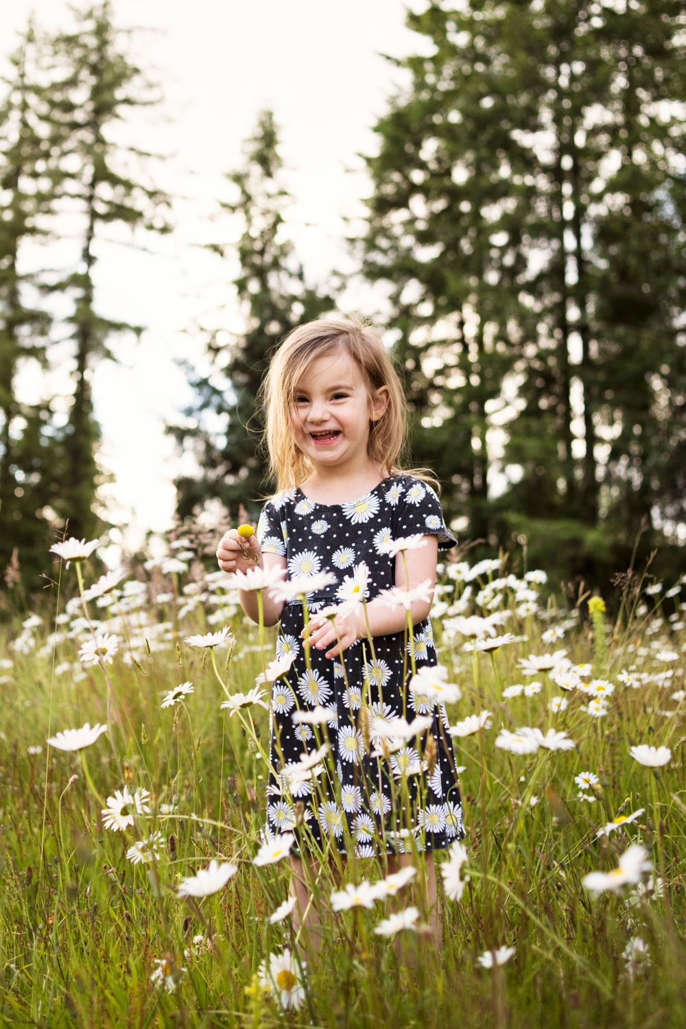 Picking Daisies