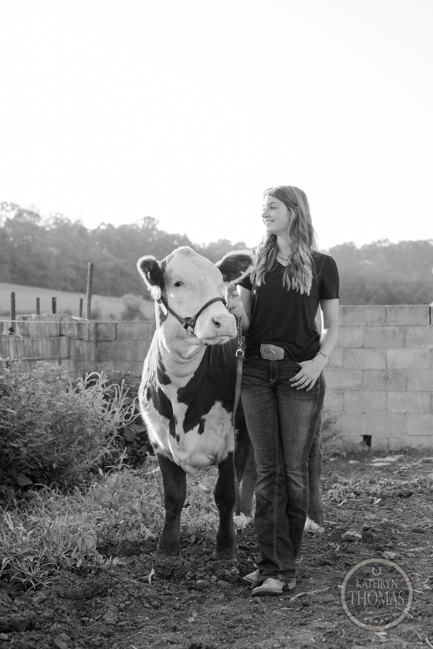 Black and white portrait with brown and white cow against rural farm backdrop.