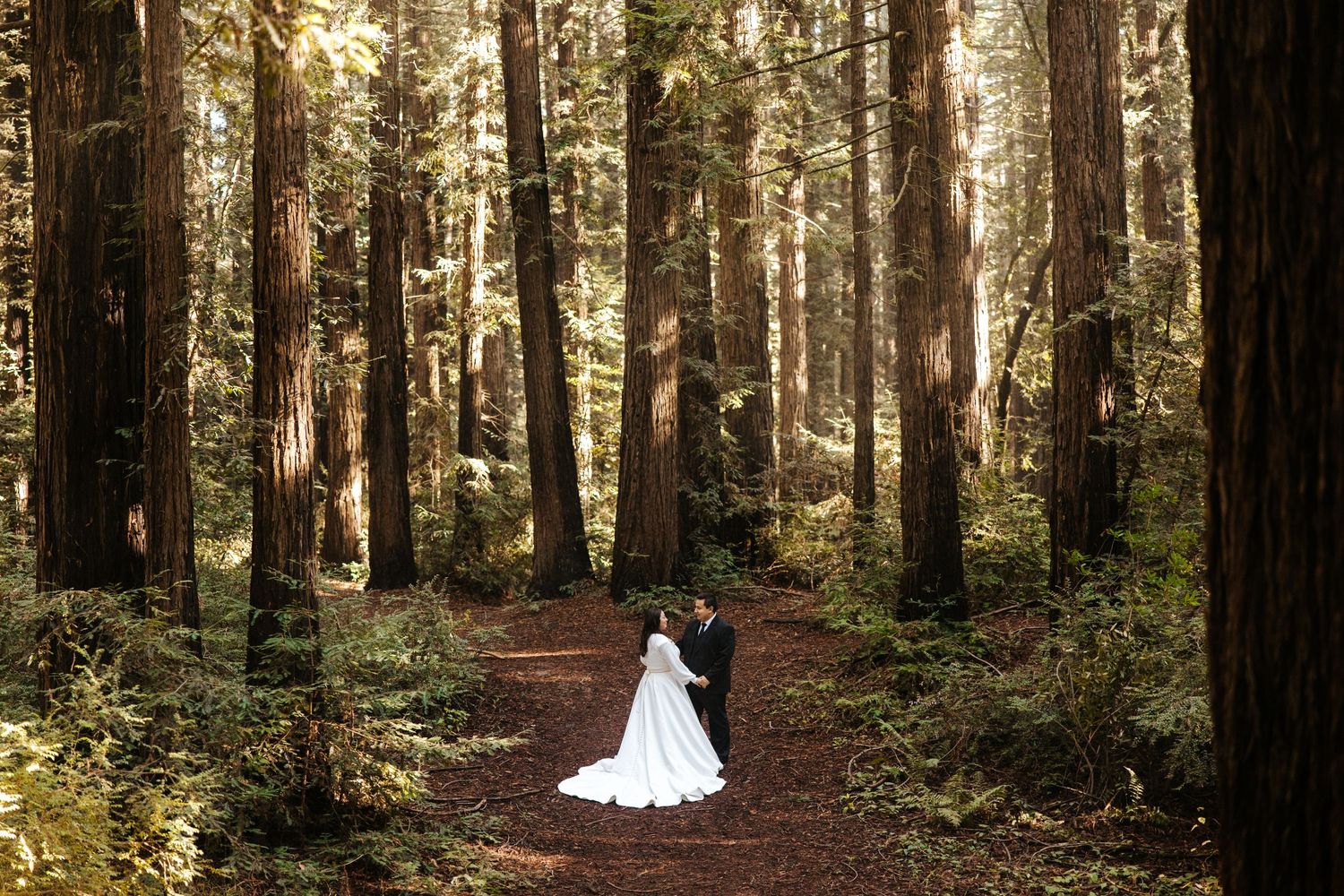 bride and groom in a redwood forest on their san francisco elopement day