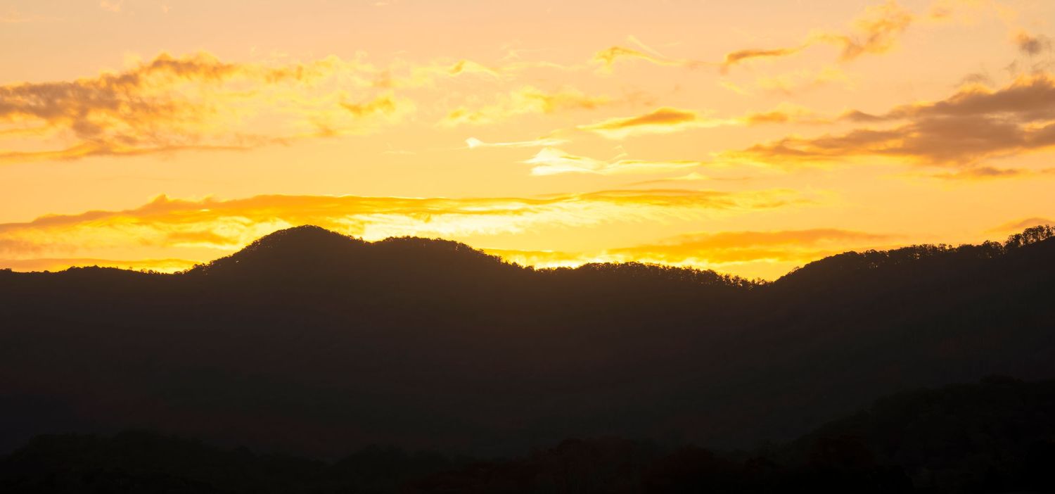 Theresa Powell Photography