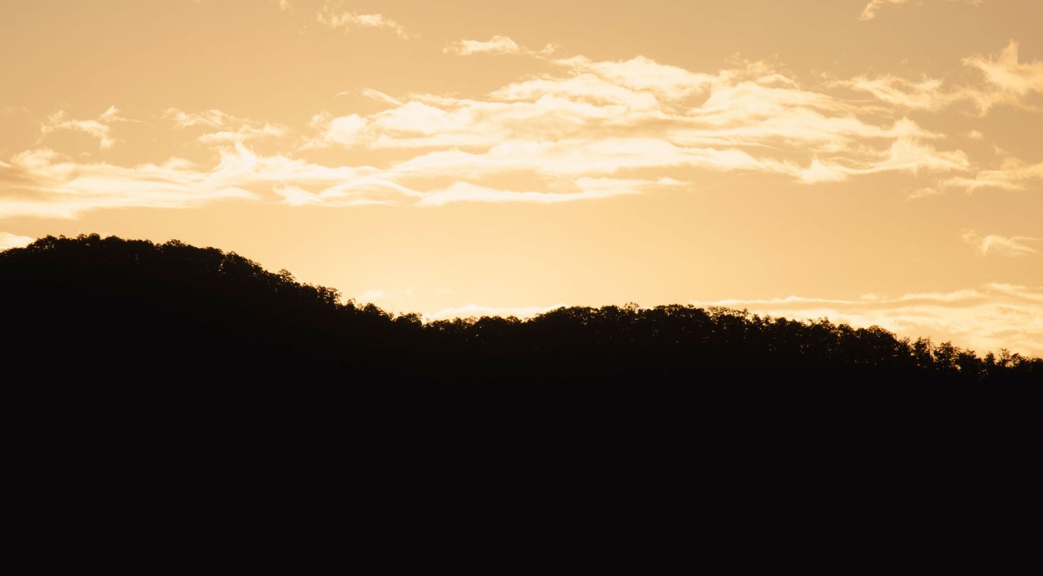 Theresa Powell Photography