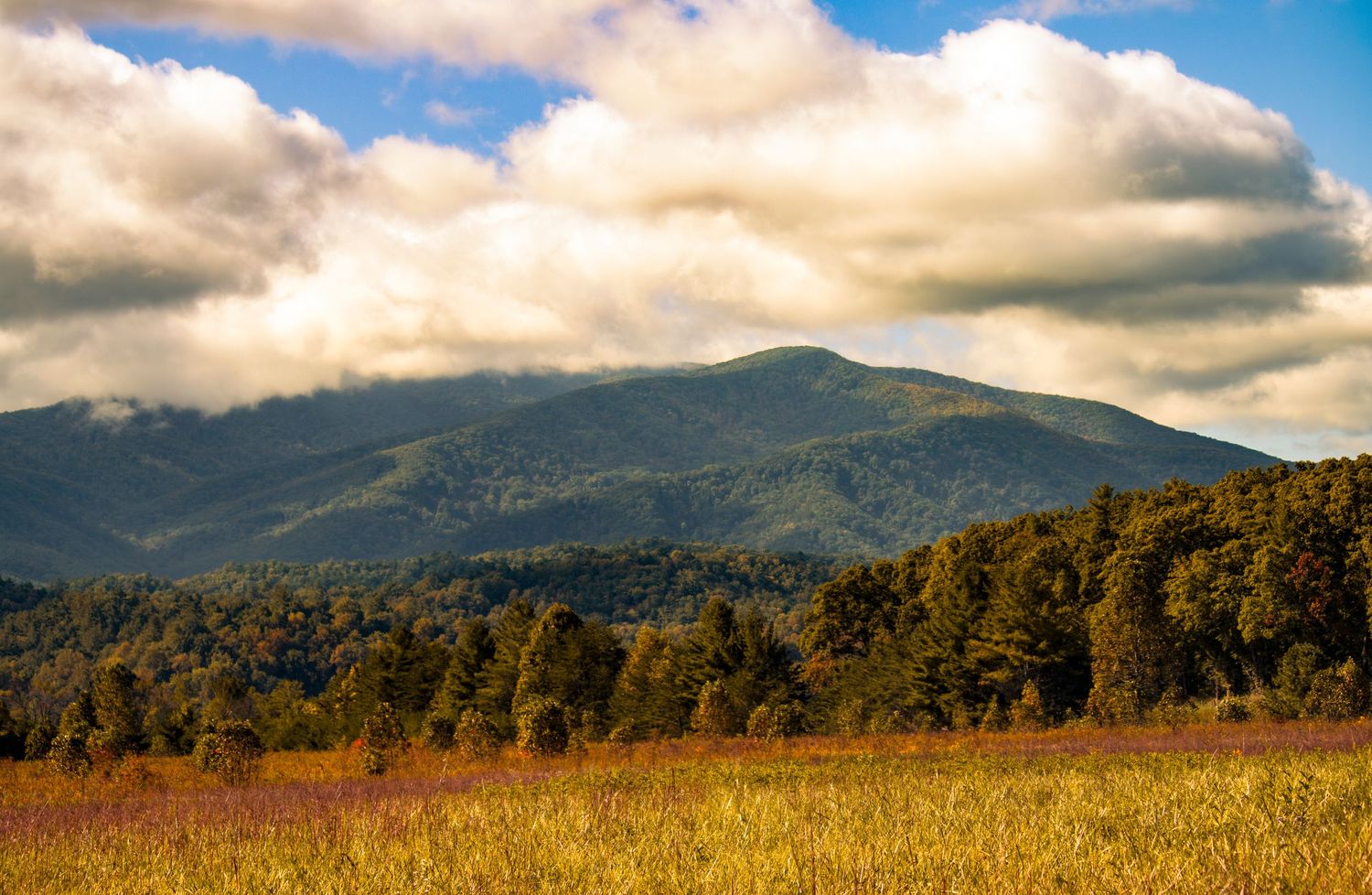 Theresa Powell Photography
