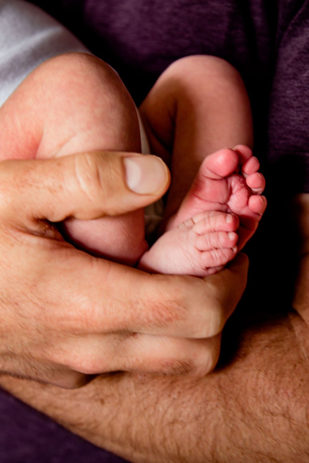Close-up of tiny baby feet being gently held in adult hands. Denver Family Photography.