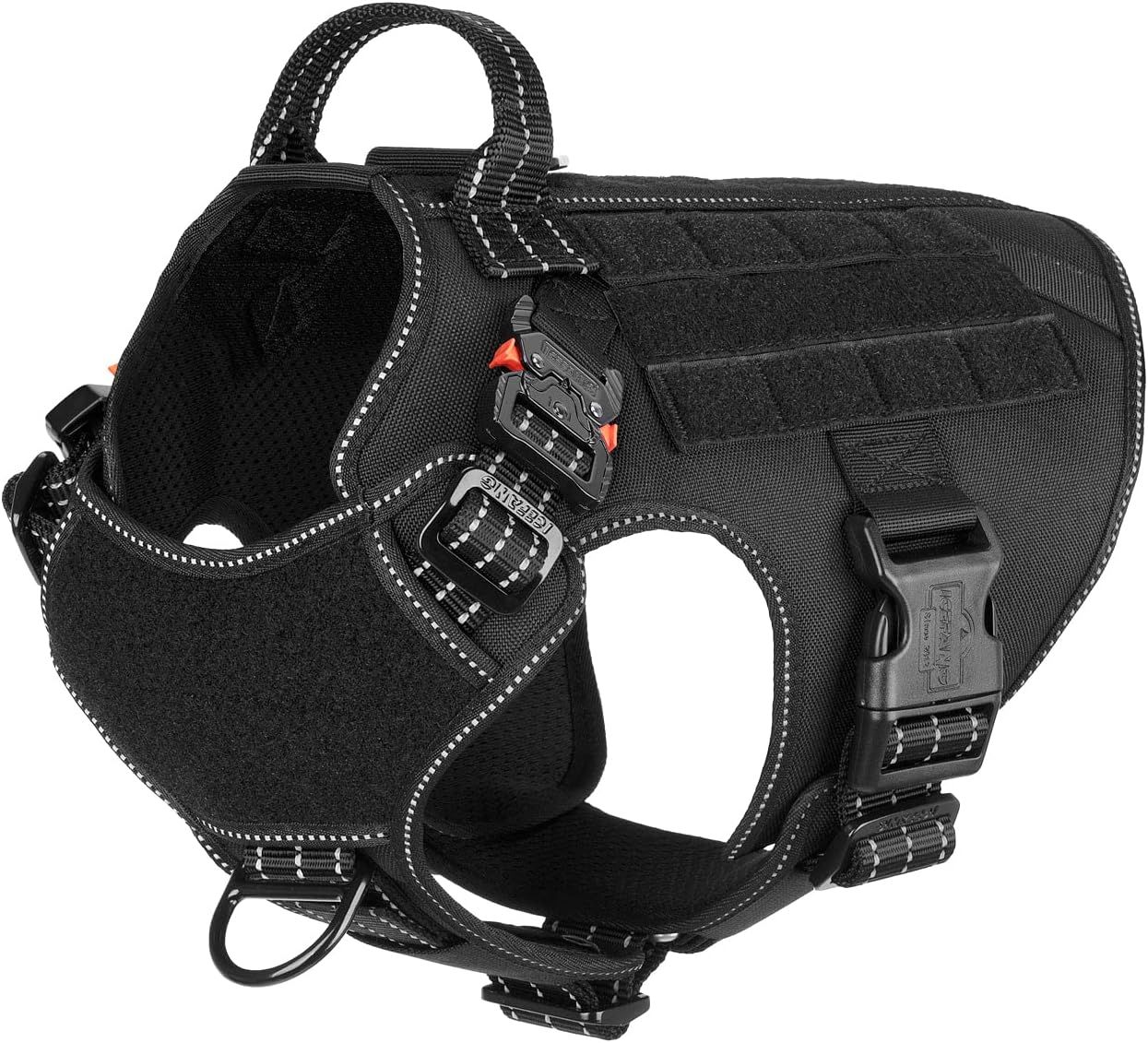 Harness