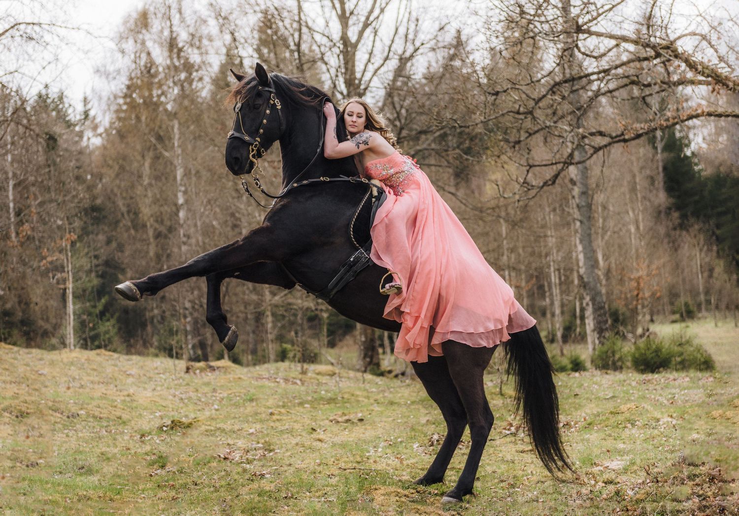 Woman in pink dress riding a rearing black horse in a forest meadow.