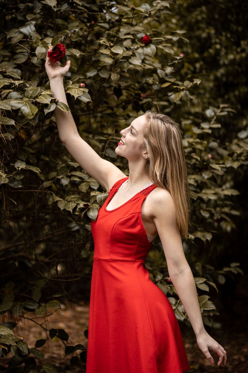 A red dress contrasts beautifully against green foliage as someone reaches for roses in a garden.