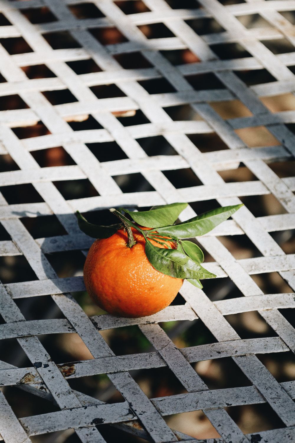 Fresh orange citrus fruit with leaves resting on a white lattice background.