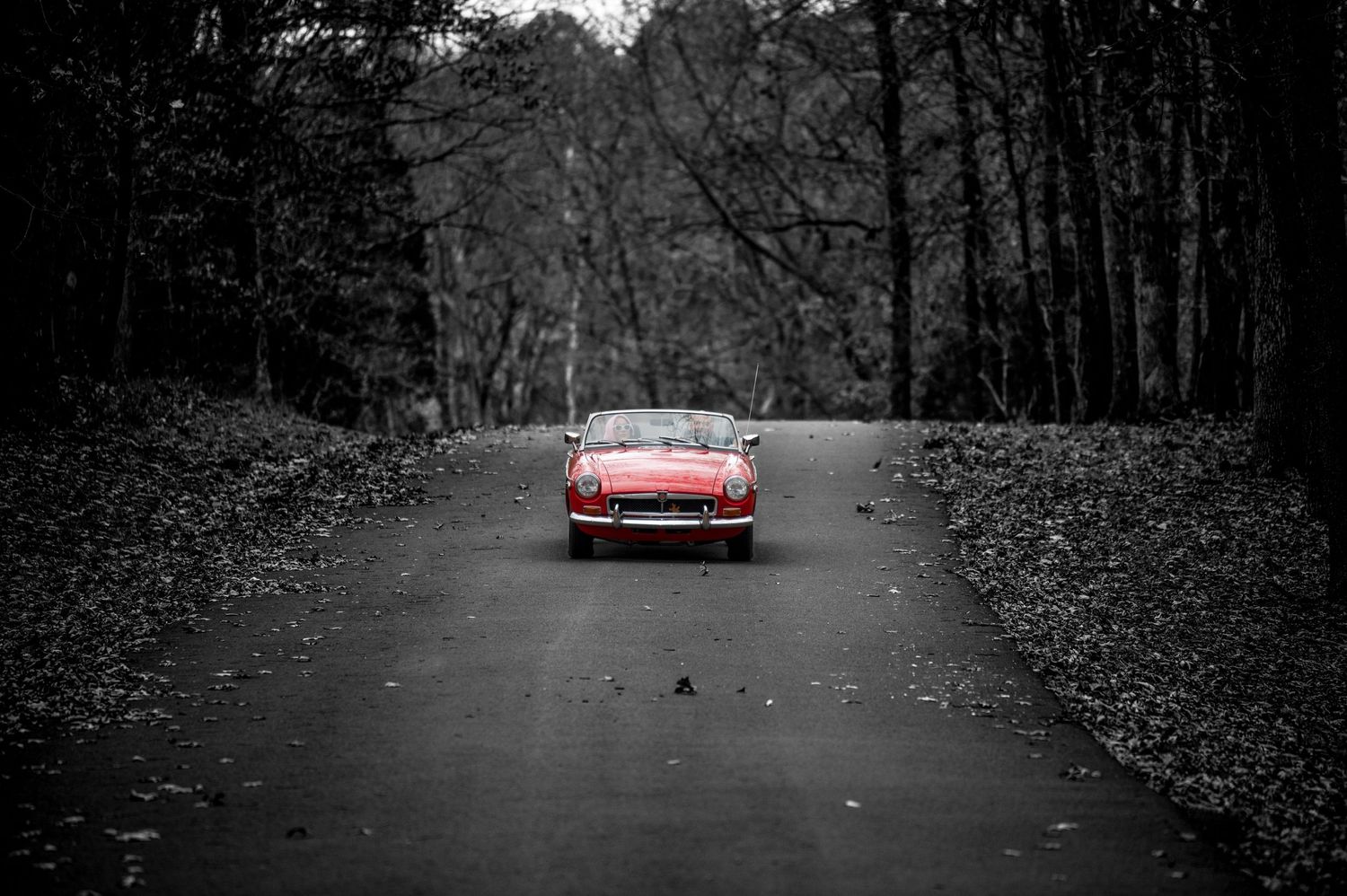 Vintage red car on a moody black and white forest road surrounded by autumn leaves.