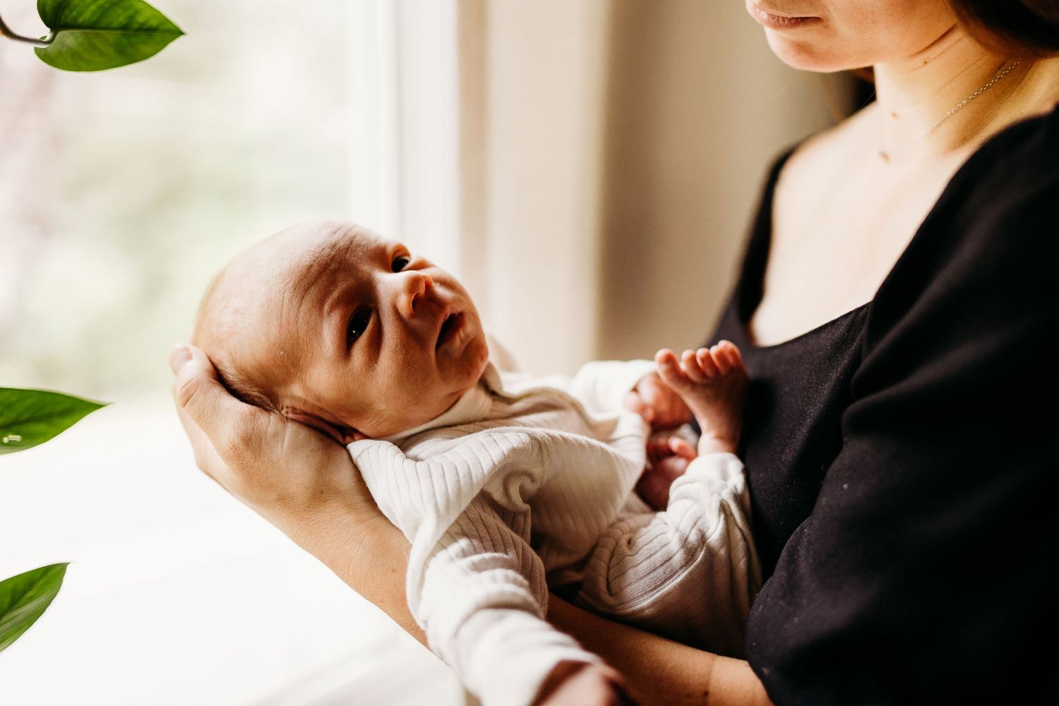 A baby in white clothing lies cradled in someone's arms by a window with green plants visible.