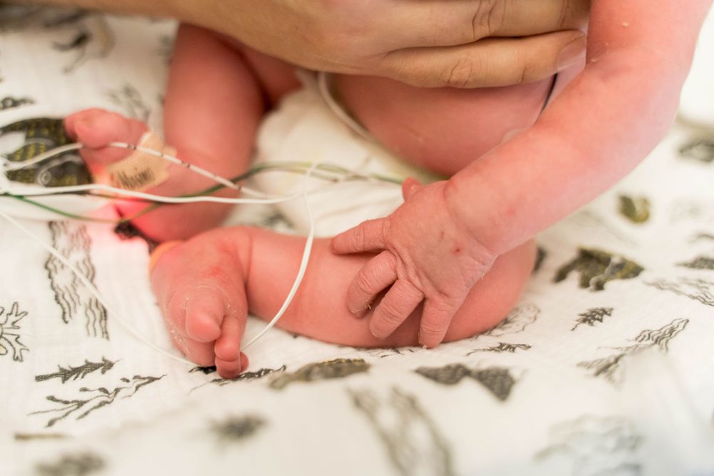 Rochester NY NICU Photos