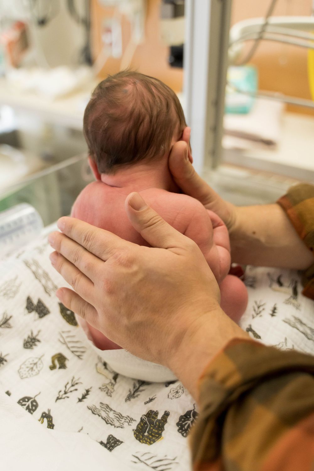 Rochester NY NICU Photos