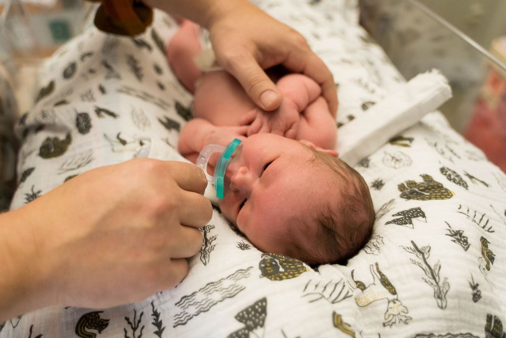 Rochester NY NICU Photos