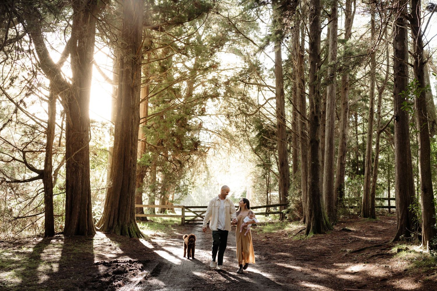 Auckland family walking through forest family photoshoot