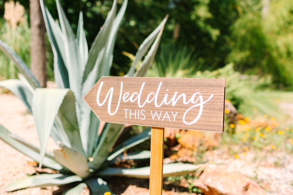 Wooden wedding directional sign placed among desert plants and rocks.