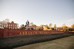 Silhouette of person standing on Abraham Baldwin wall during sunset.