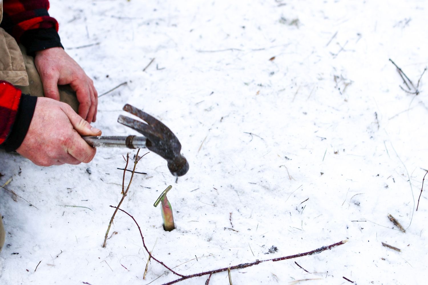 Using hammer tool in snow during winter camping setup.