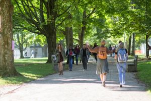 Students walking along tree-lined campus pathway on sunny spring day.