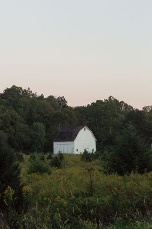A white barn stands solitary in a field surrounded by trees at dusk.