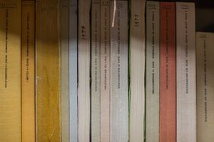 Row of academic books with varying spine colors lined up on a shelf.