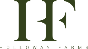 Expert logo design by Stay&cee Creative, creating distinctive and timeless logos that perfectly capture your brand’s essence