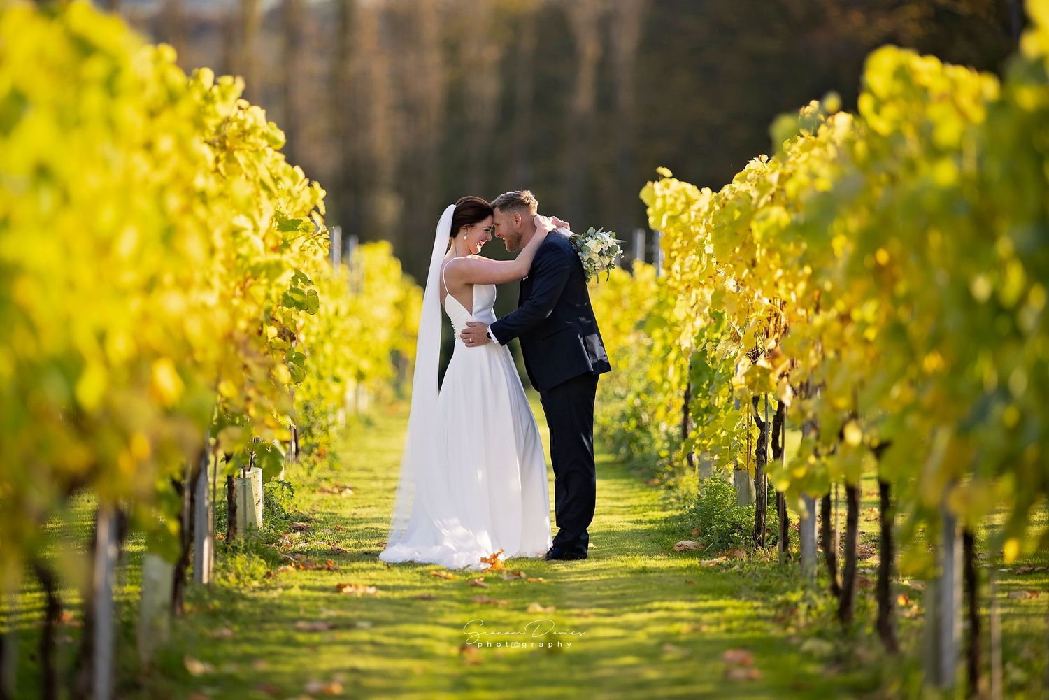 wedding engagement photo